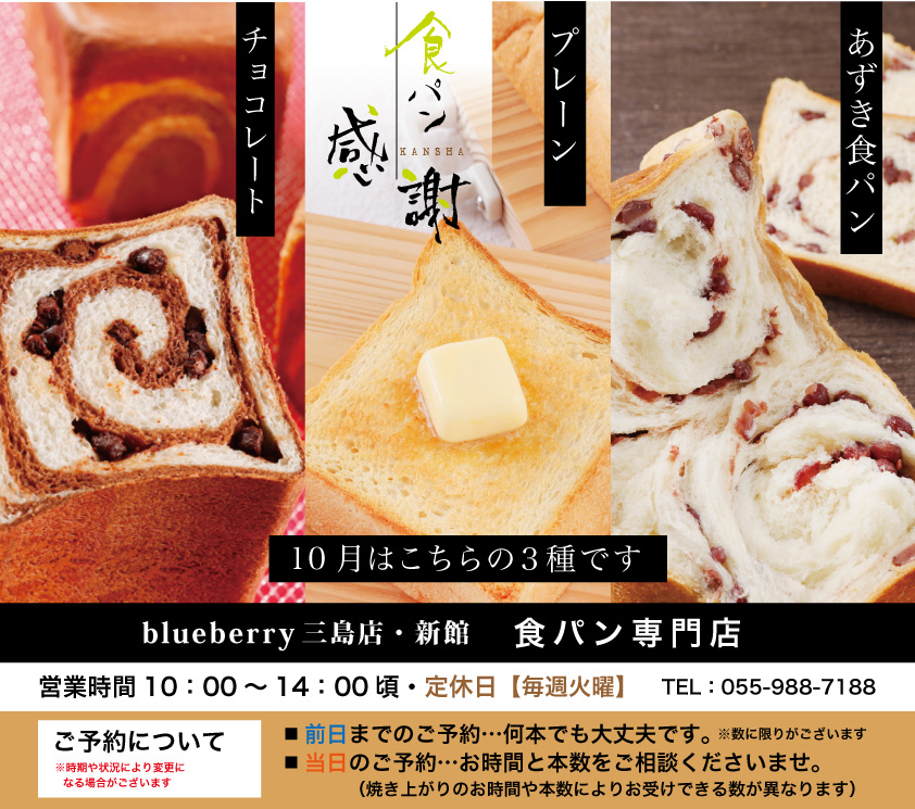 ブルーベリー Blueberry 静岡県三島市のケーキ 洋菓子店