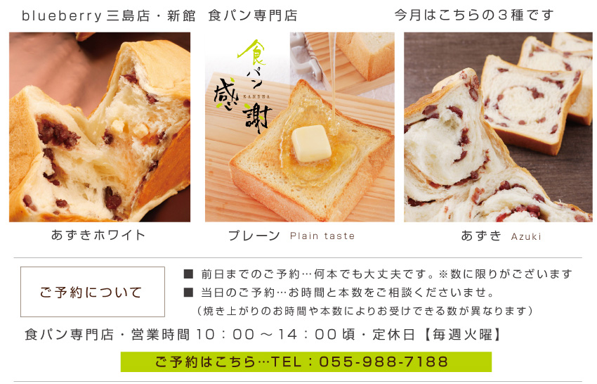 ブルーベリー Blueberry 静岡県三島市のケーキ 洋菓子店